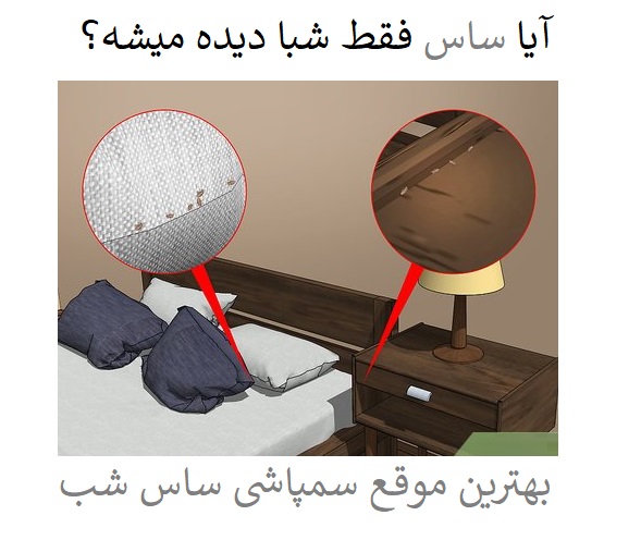آیا ساس فقط شبا دیده میشه