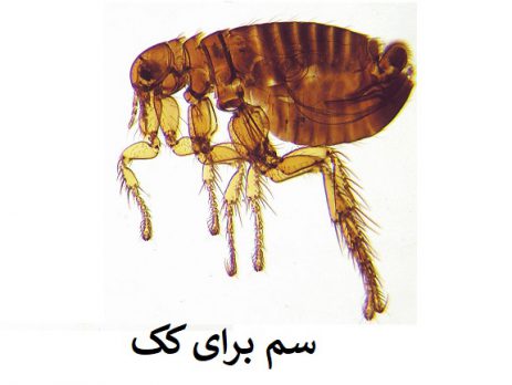 سم کک