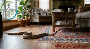 دور کردن مار از خانه 