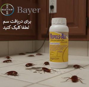 سو سوسک ریپلزال اصل المانی