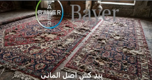 از بین بردن لارو و بید فرش