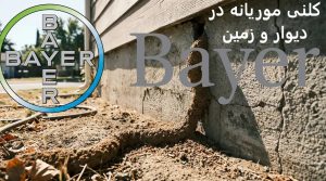 پیدا کردن موریانه در زمین و دیوار