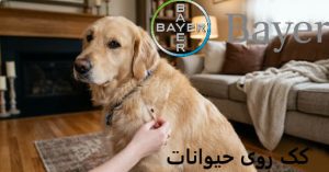 کک کش اصل المانی