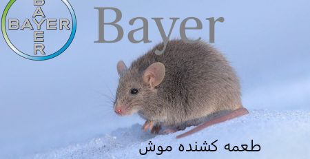 موش کش اصل المانی