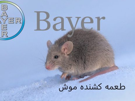 موش کش اصل المانی